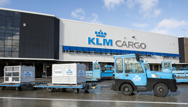 KLM готовится к транспортировке вакцин против COVID