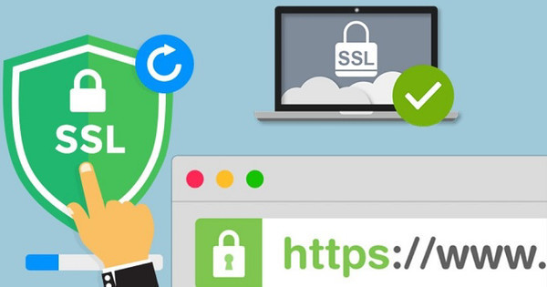 SSL-сертификат: описание, виды и особенности, правила получения